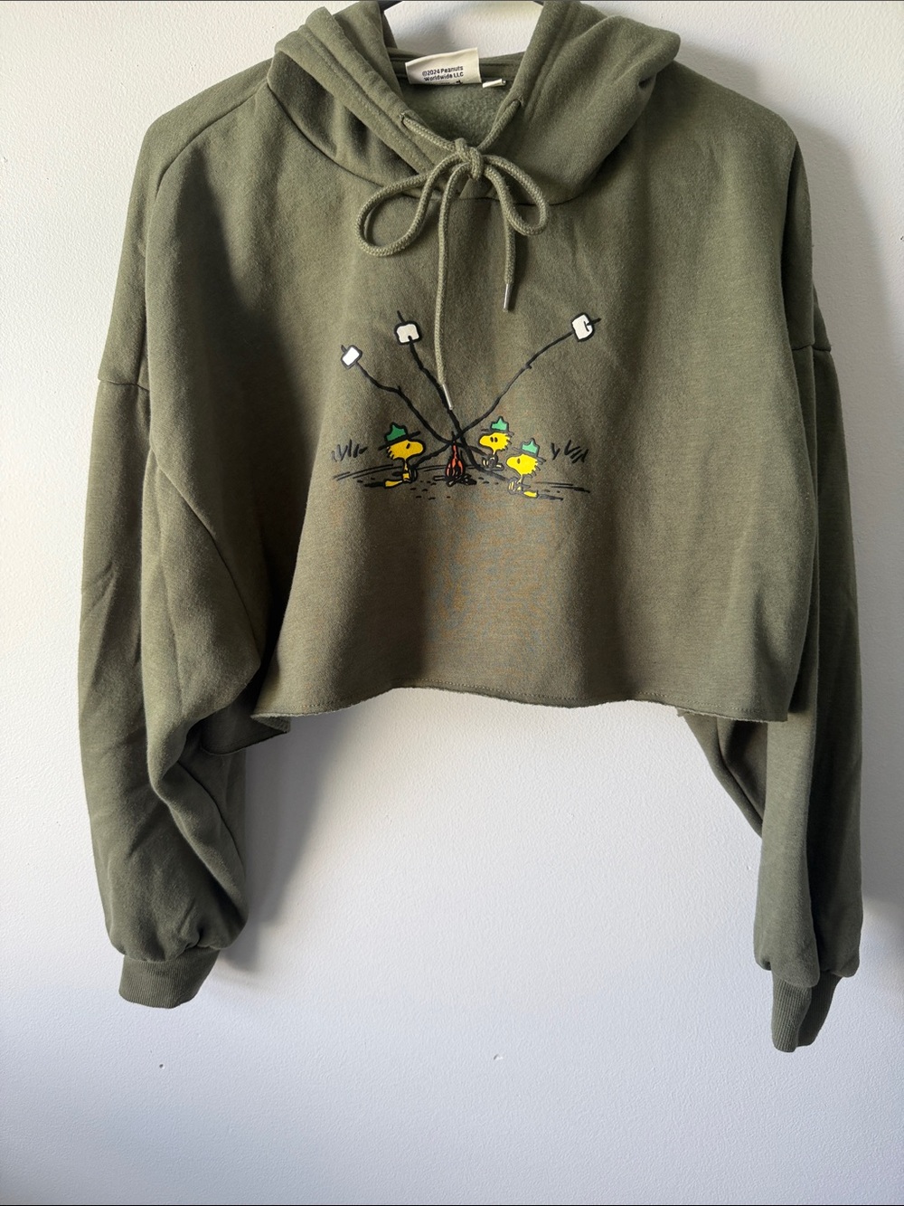 Aeropostale Olive Cropped Hoodie with Campfire Marshmallow Graphic